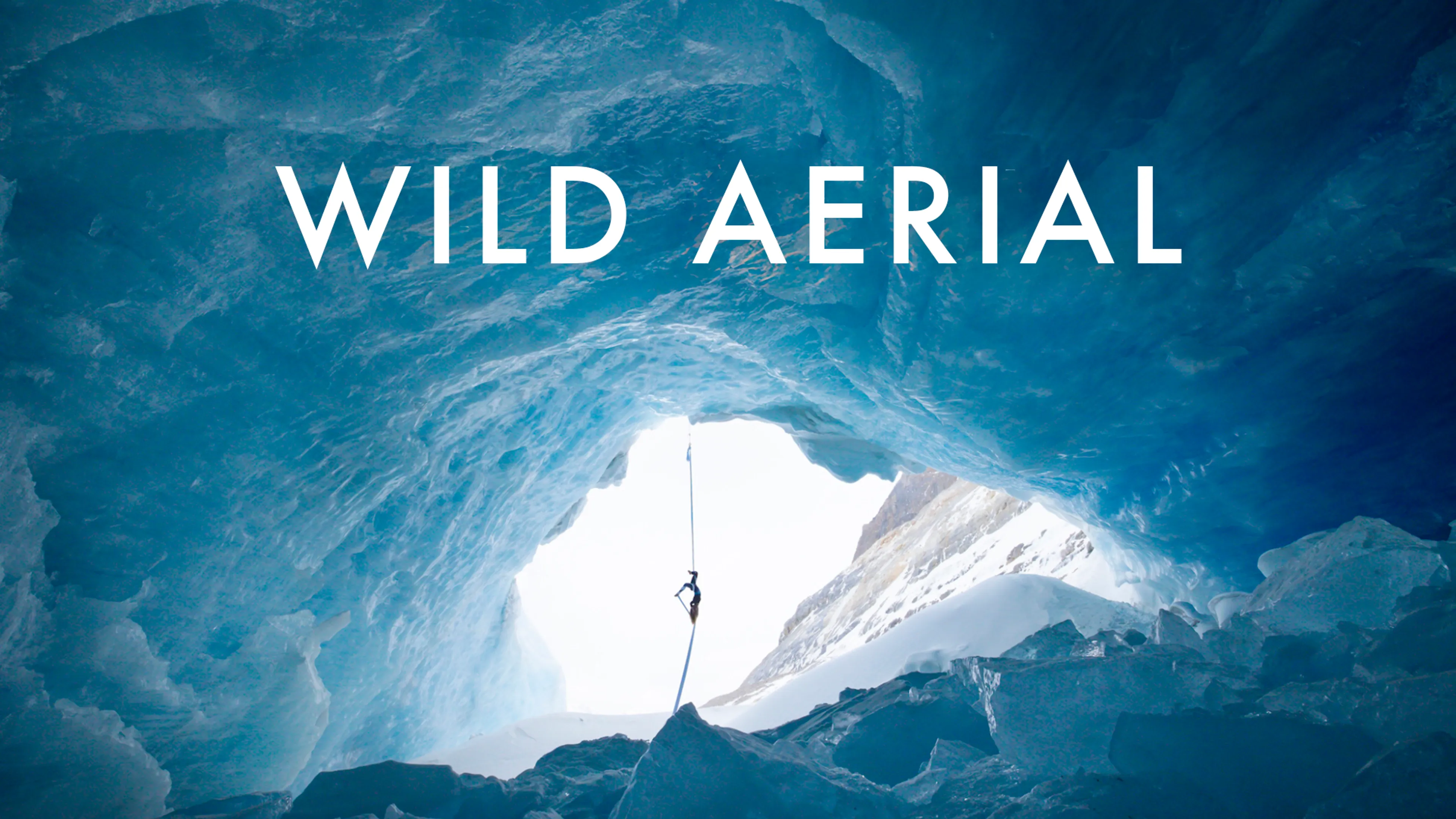 Wild Aerial poster